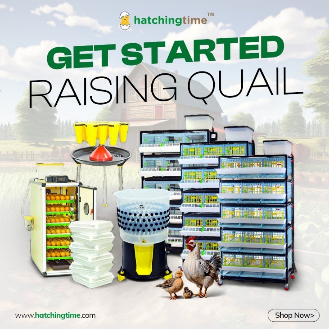 Hatching Time